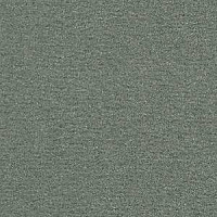 Ковролин Radici Nexus Opale 8251 фото 1 | FLOORDEALER